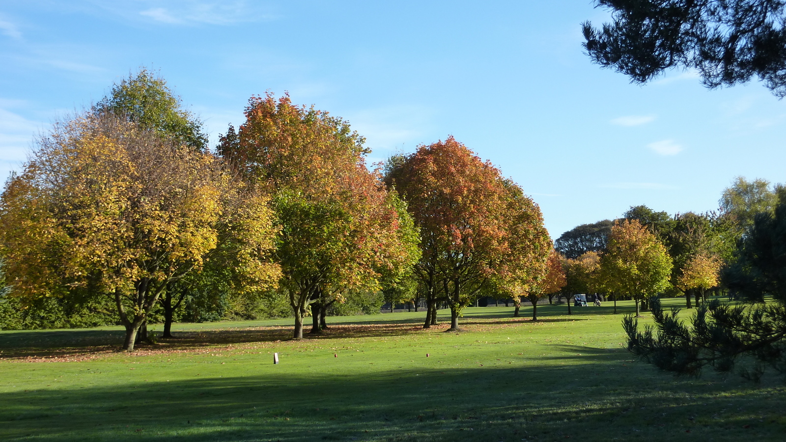 RADCLIFFEONTRENT GOLF CLUB